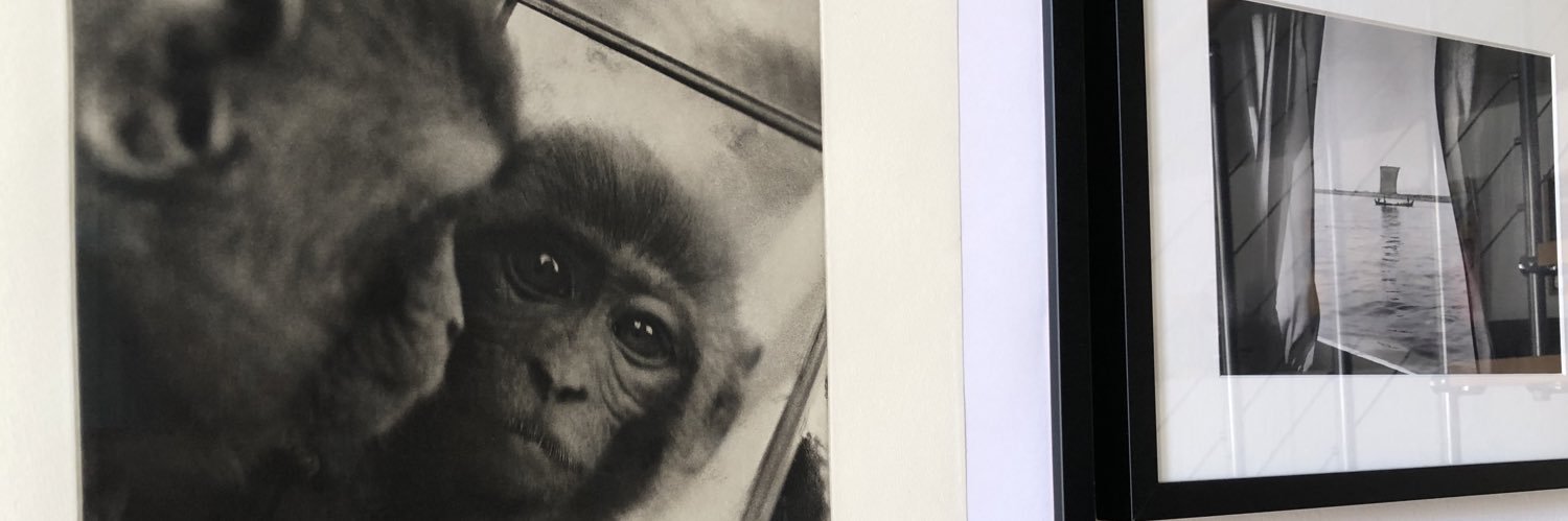 le hesran christine banner