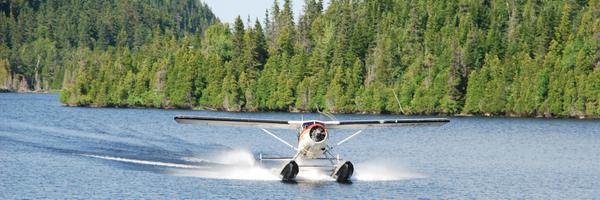 tf_thibault Profile Banner