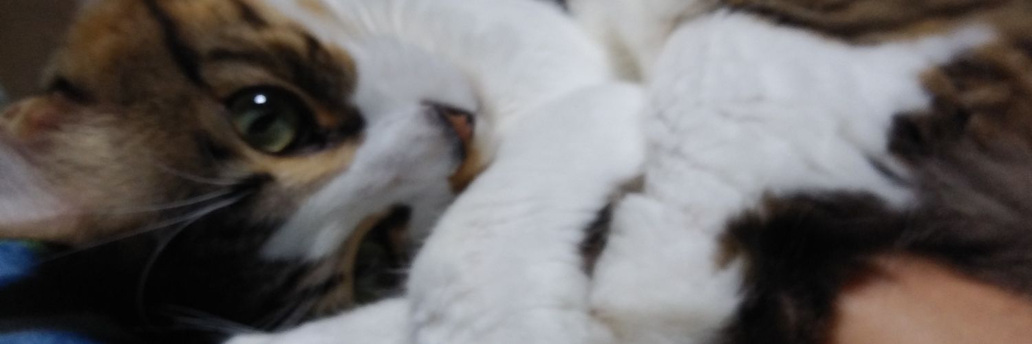 KanariyaChild's profile banner image