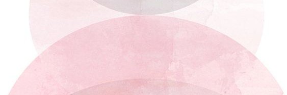 Spymanx banner