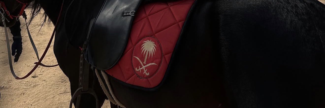 TheLizzy_'s profile banner image