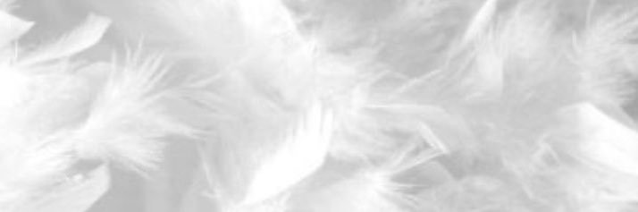 ꫂ ၴႅၴ banner