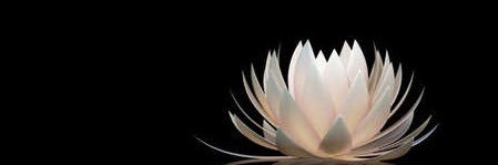 tk922__'s profile banner image