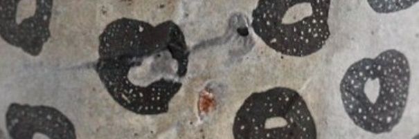 clay banner