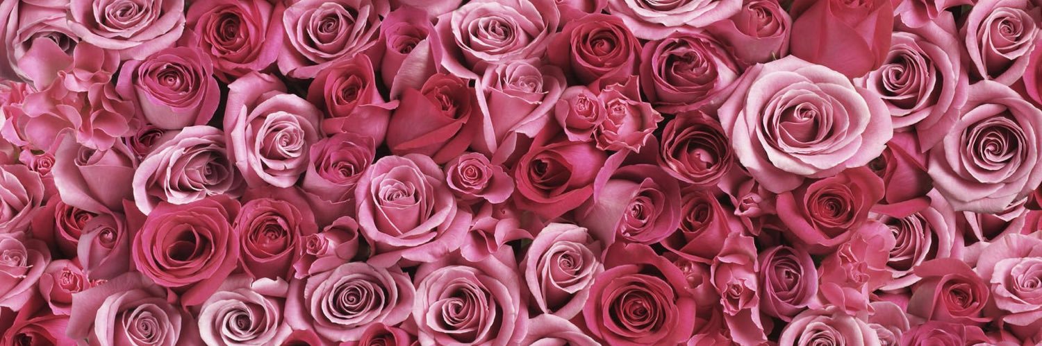 Tabitha Webb Fans banner