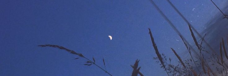 mwtahu's profile banner image