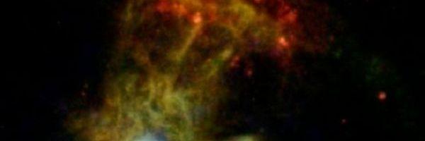 CottonMont's profile banner image