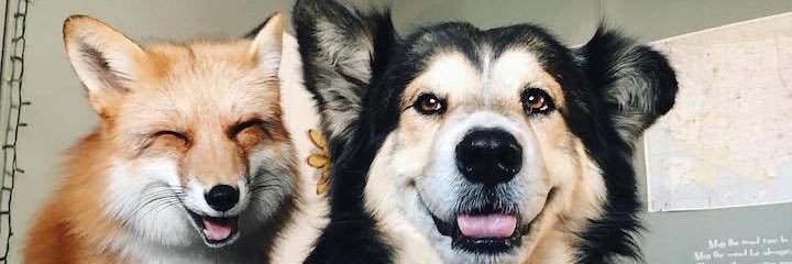 meltcetin's profile banner image