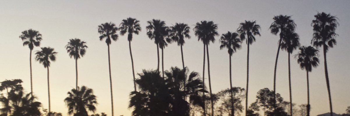 besos21's profile banner image