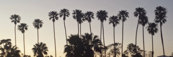 besos21 Profile Banner