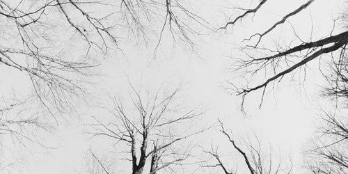 dylancbpgdr's profile banner image