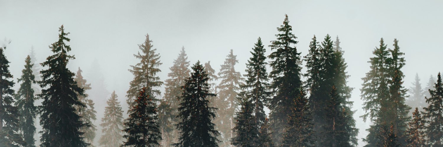 markbrown_'s profile banner image