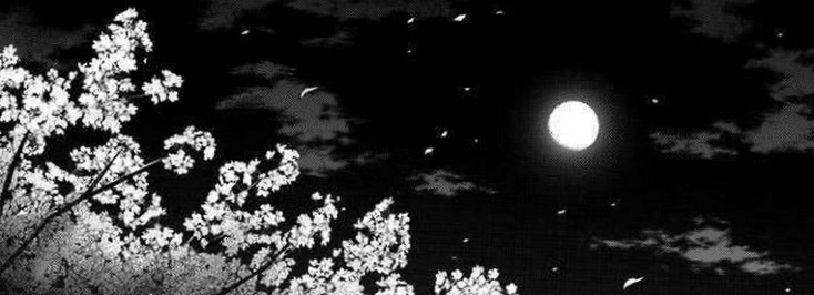 moonriselunaaa5's profile banner image