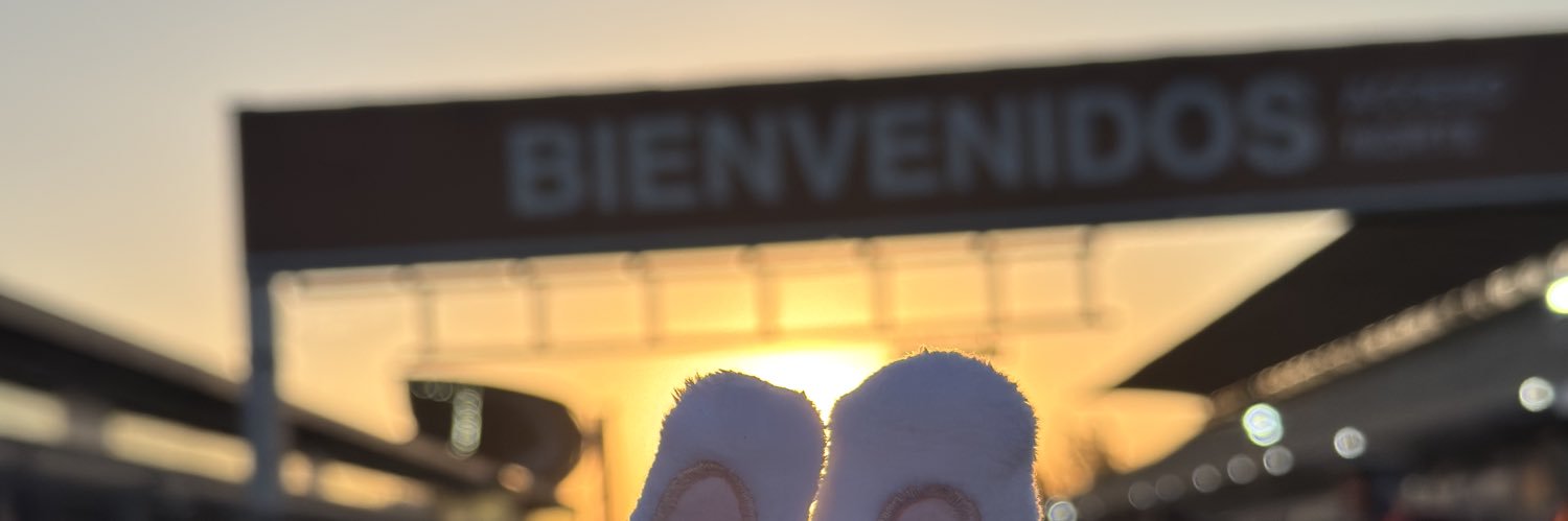 anelsoph's profile banner image