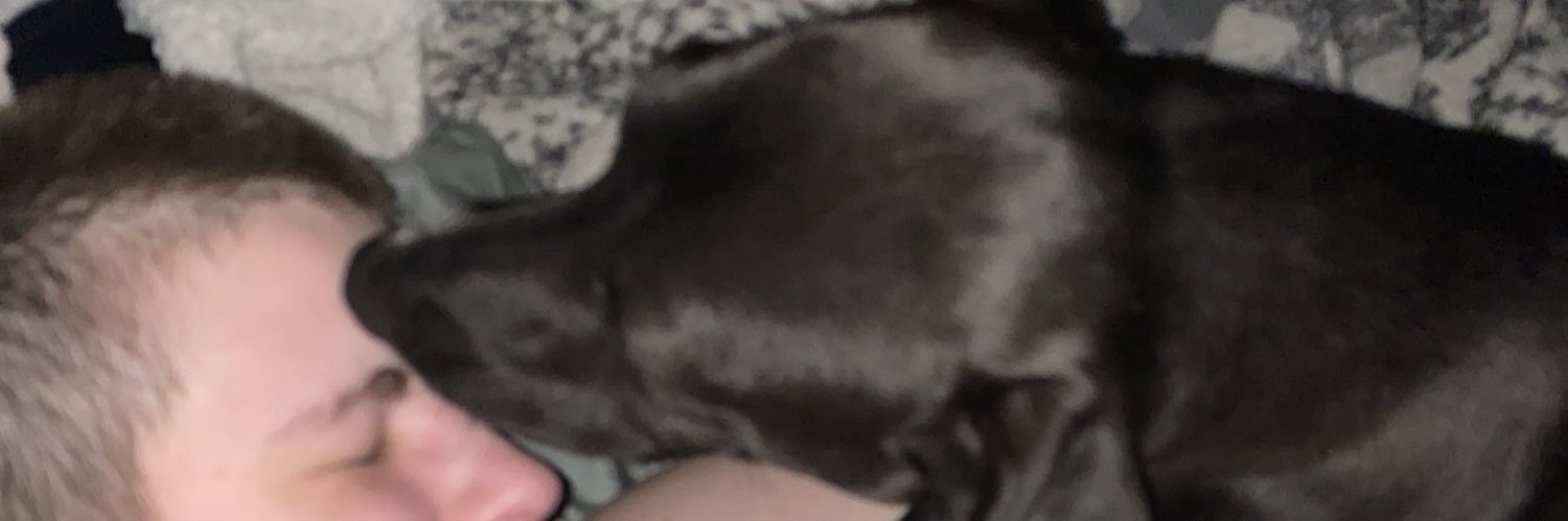 bugfrompdx's profile banner image
