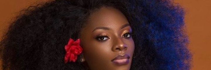wikifairy's profile banner image