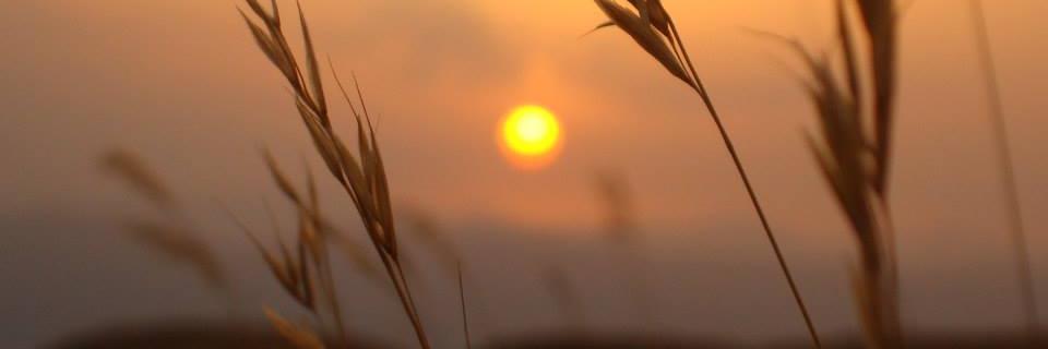 dengeciya1's profile banner image
