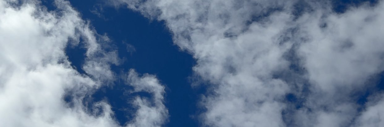 erickson_shayla's profile banner image