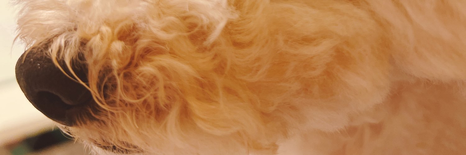 akisnm615's profile banner image