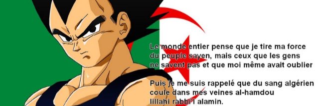 Reddaldo🇩🇿 banner