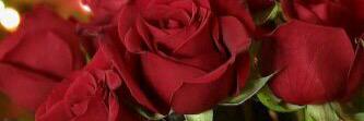 hessa_yz's profile banner image