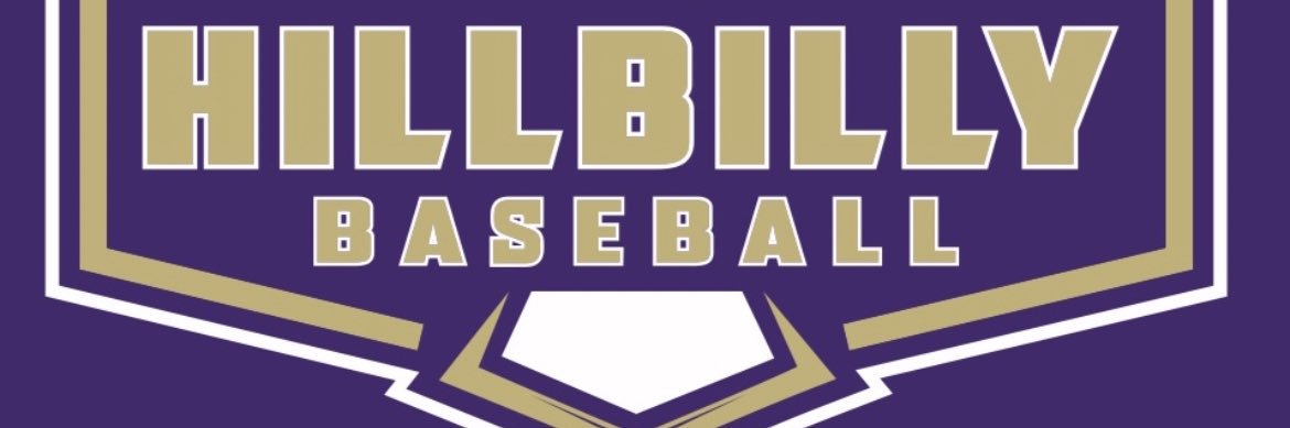 Hillbilly Baseball banner