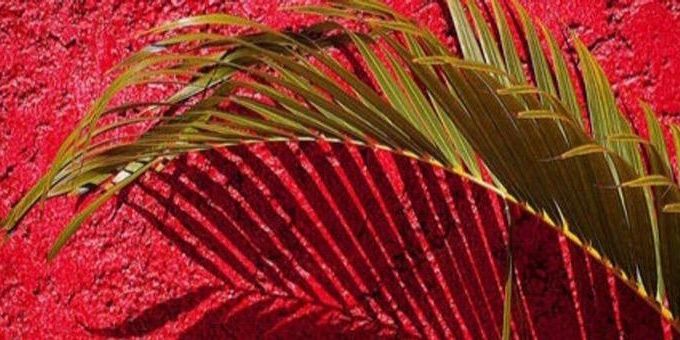 busceracbpgdr's profile banner image