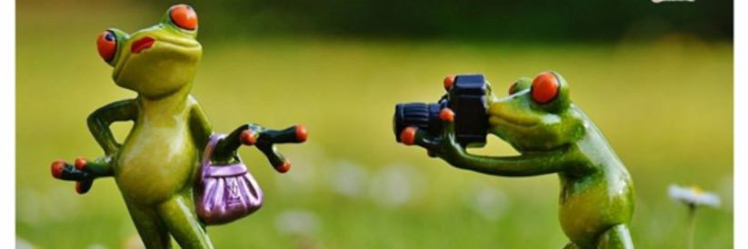salilverma1106's profile banner image