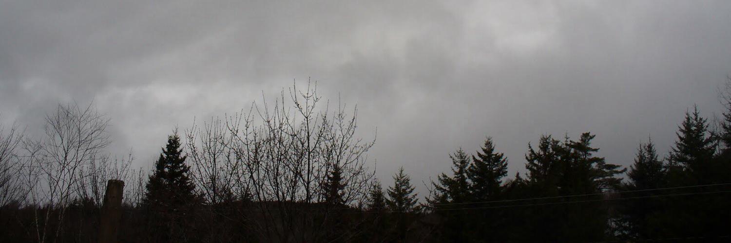 WeSlowlyDrove's profile banner image