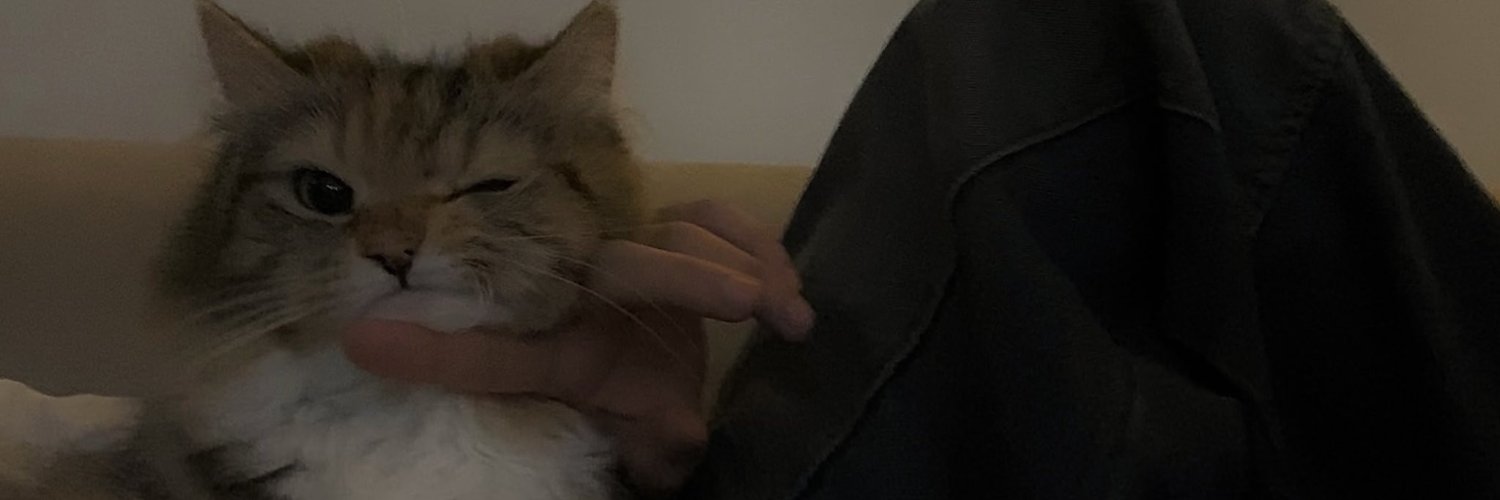 velvetune's profile banner image