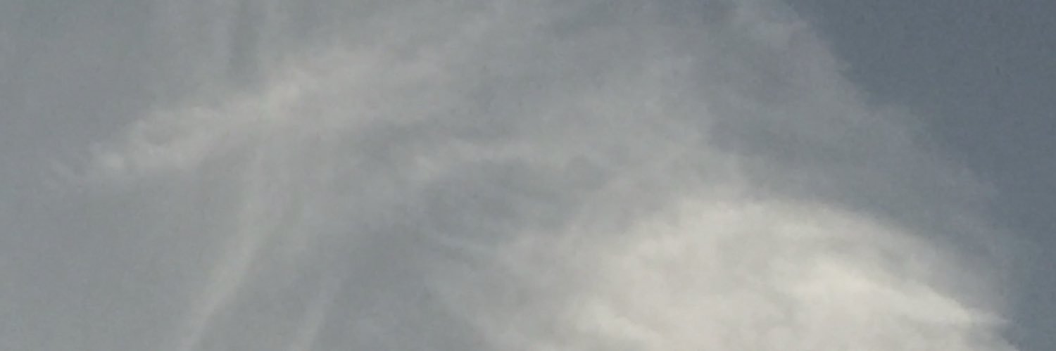 558899t's profile banner image