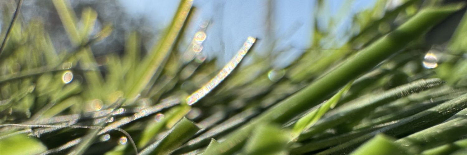 ori banner