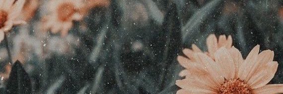 fredpaix's profile banner image