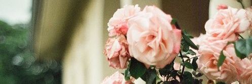 tryaq_761's profile banner image