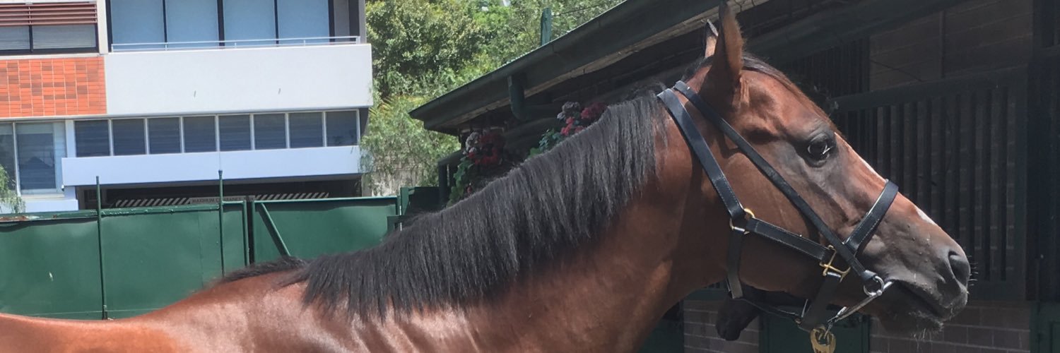 zoutenant's profile banner image
