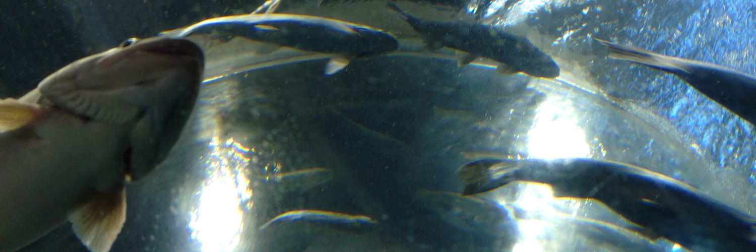 takuminorinn's profile banner image