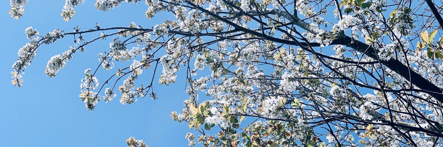 HollyBetsyPR's profile banner image