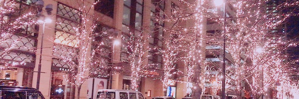 l51751723's profile banner image
