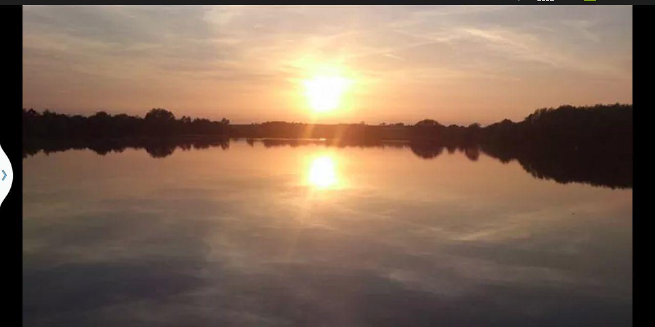 carpkidd's profile banner image