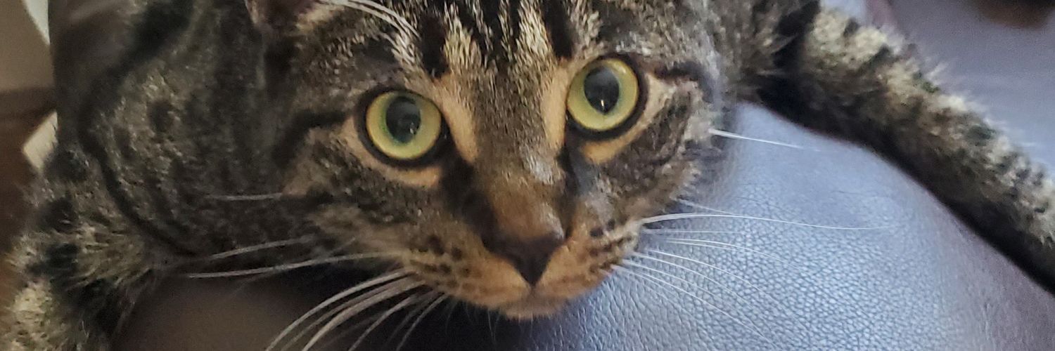 Banana Jesus iki banner