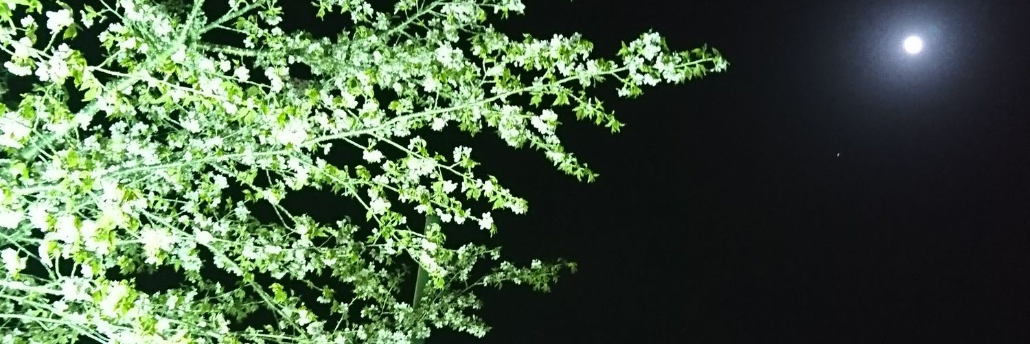 yaaamaaashooo's profile banner image