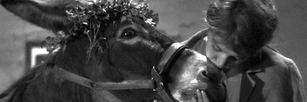 I_mm_DM's profile banner image