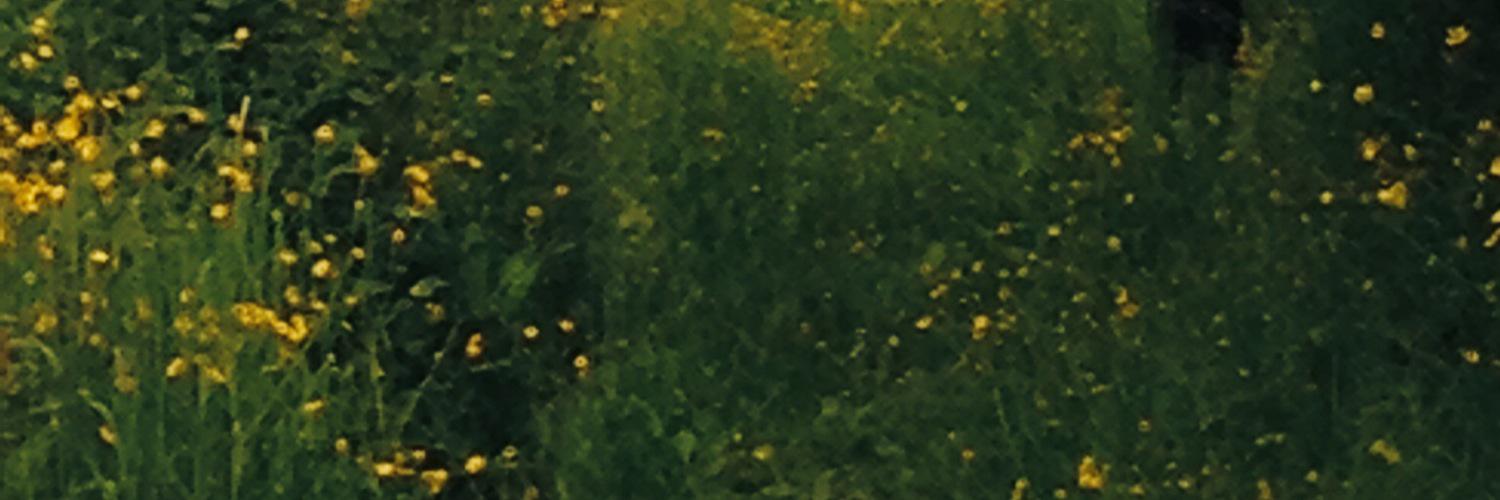 Dr. Karen D. Roscoe banner