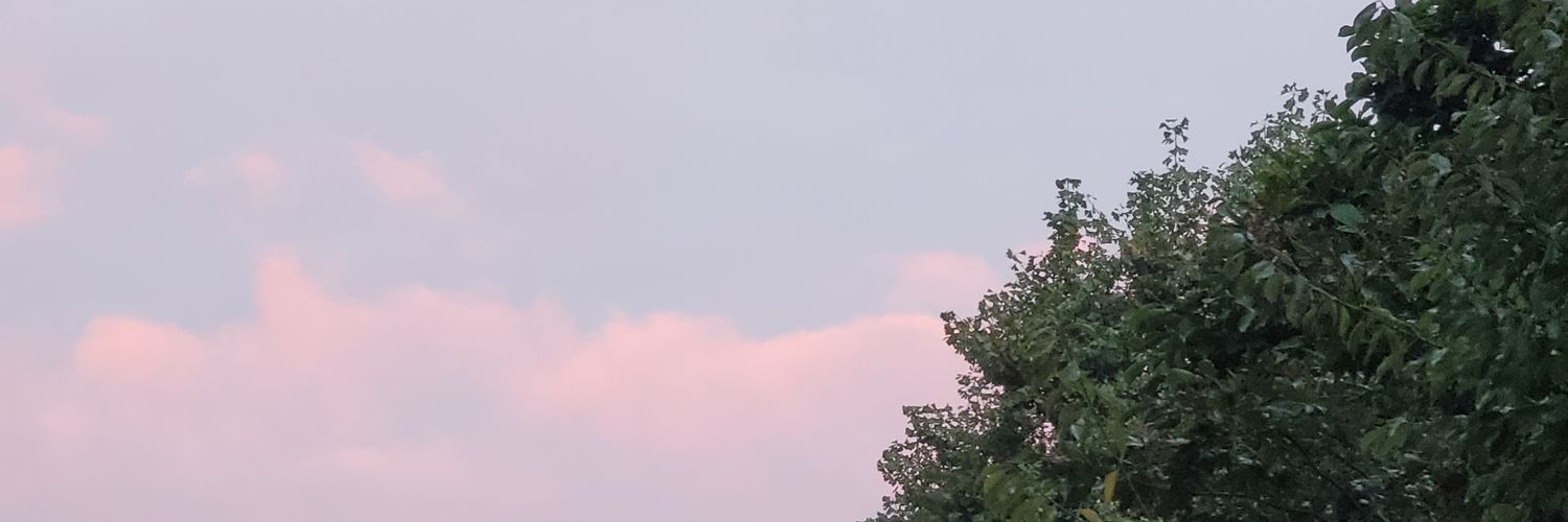 dickdickdc's profile banner image