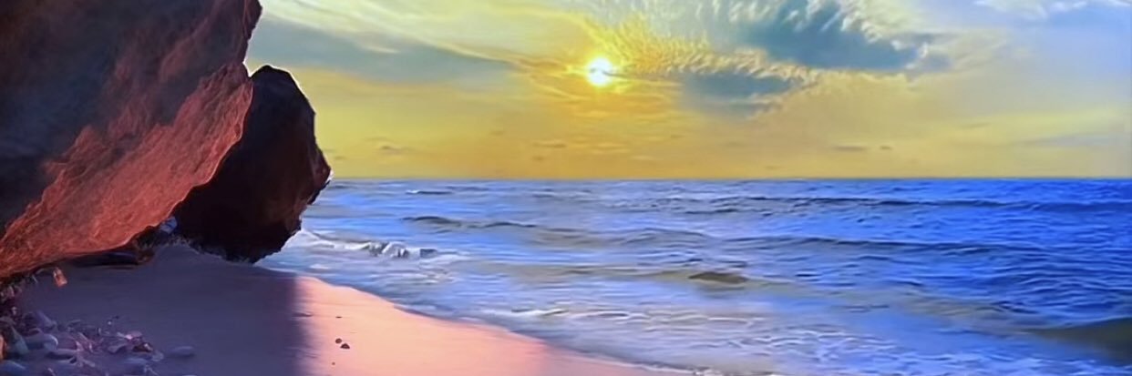 Sharon Foster 🐝 banner