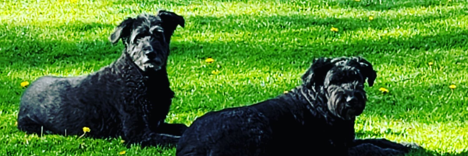 cupauld's profile banner image