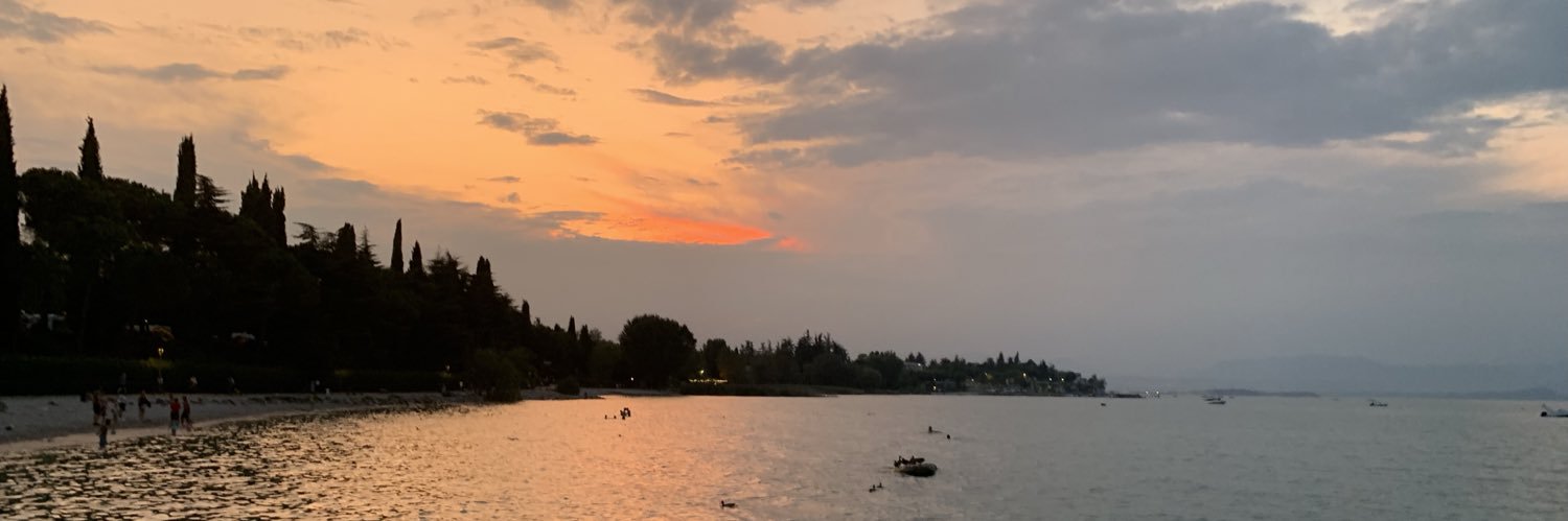 Elizabeth Bojas banner