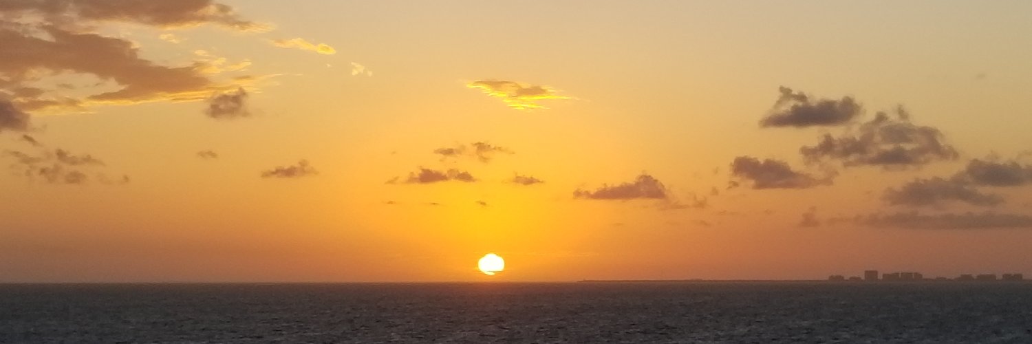 Mindyvol's profile banner image