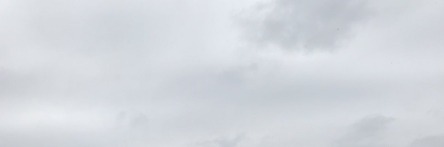 selenyum87's profile banner image