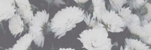 annabelleHE9's profile banner image